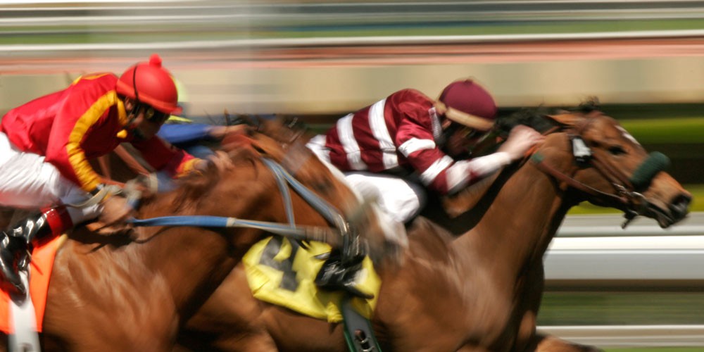 Paardenracen Royal Derby Casino